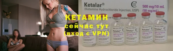стаф Дмитровск