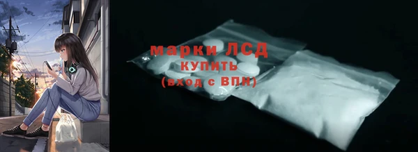 прущие грибы Дмитриев