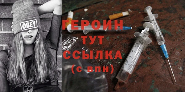 прущие грибы Дмитриев
