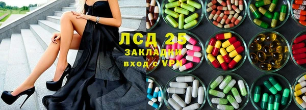 прущие грибы Дмитриев