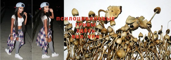 кокаин Гусь-Хрустальный