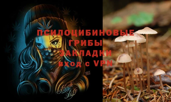 кокаин Гусь-Хрустальный
