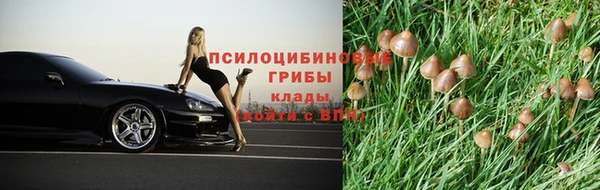 ешки Гусиноозёрск