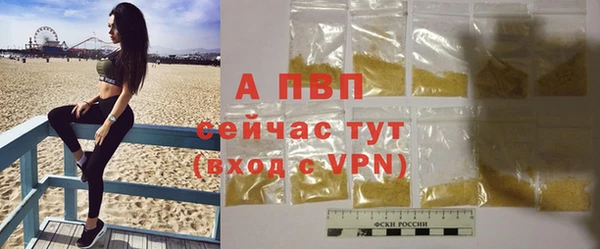 стаф Дмитровск