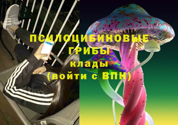 ешки Гусиноозёрск