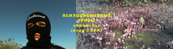 кокаин Гусь-Хрустальный